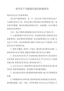 自查自糾 承諾書