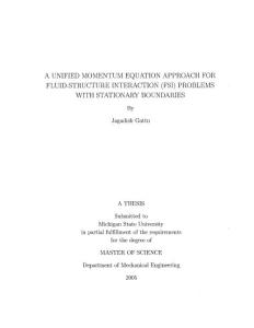 A unified momentum equation approach for fluid-structure interaction (FSI) problems with stationary boundaries