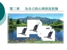 为自己的心理状况把脉