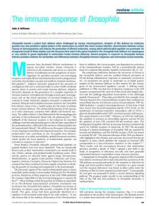 The immune response of Drosophila