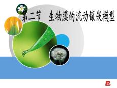 4.2細(xì)胞膜的流動(dòng)鑲嵌模型