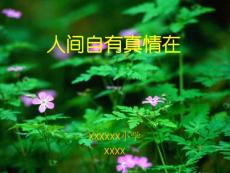 人間自有真情在(品德與生活精美課件)