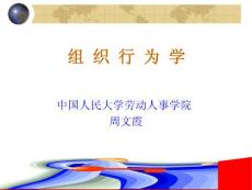 中国人民大学《组织行为学》课件