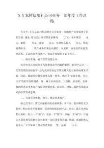 农村信用社公司业务一部年度工作总结