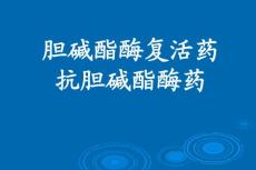 胆碱酯酶复活药和抗胆碱酯酶药——药理学精品课件（中国医科大学）