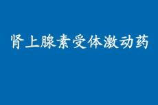 肾上腺素受体激动药 ——药理学精品课件（中国医科大学）