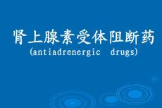 肾上腺素受体阻断药——药理学精品课件（中国医科大学）