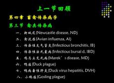 11-4 基础兽医畜禽传染病学(IV-猪病1-猪瘟 胃肠道)
