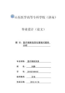 醫(yī)療保險信息化管理問題的分析