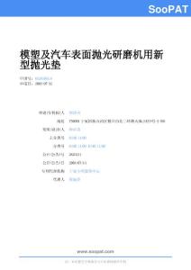 03205065-模塑与汽车表面抛光研磨机用新型抛光垫