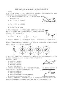 湖北省武昌區(qū)2014屆高三元月調(diào)考理綜試卷（word）