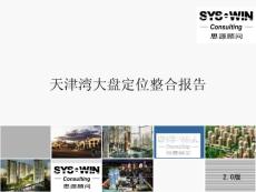 2013年7月超專業商業地產定位報告(思源出品)