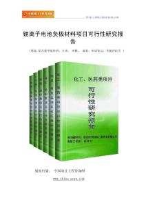 锂离子电池负极材料项目可行性研究报告（范兆文-18810044308）