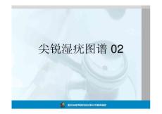 皮肤 尖锐湿疣图谱02