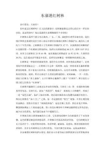 东寨港红树林导游词
