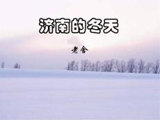 济南的冬天_中学教育-中考
