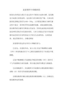 尿素循環中的酶缺陷