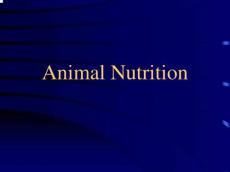 水产养殖---animal nutrition动物营养