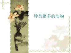 教科版小学科学六年级上册《种类繁多的动物》课件