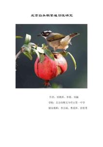 北京白头鹎繁殖习性研究