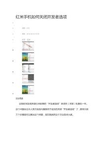 紅米手機(jī)如何關(guān)閉開(kāi)發(fā)者選項(xiàng)