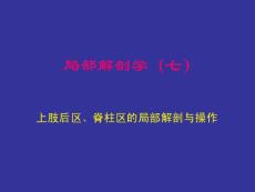 解剖学 上肢后区、脊柱区的局部解剖与操作