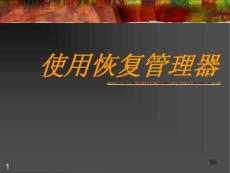 使用恢復(fù)管理器