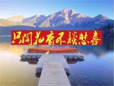 只聞花香不談悲喜