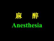 麻醉（Anesthesia）