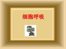 细胞呼吸