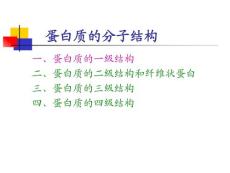 02-2蛋白質的一級結構