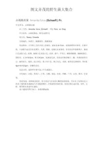 圖文并茂的野生菌大集合