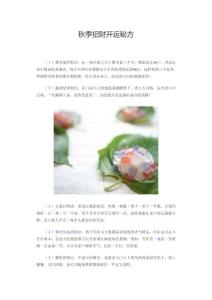 秋季招财开运秘方