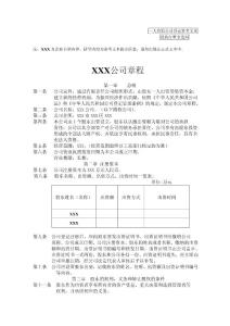 一人有限公司章程(执行董事)