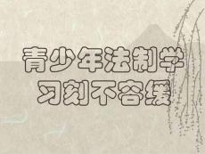 青少年法制学习刻不容缓 法制 [主题班会]