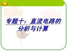 专题十：直流电路的分析与计算　