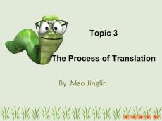 The Process of Translation（翻译的过程）