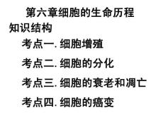 【合肥168中校际公开课课件资源系列】细胞的生命历程