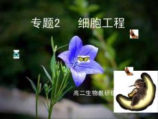 【合肥168中校际公开课课件资源系列】植物细胞工程