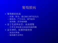 第六章、葡萄膜