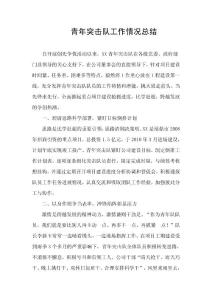 青年突击队工作情况总结