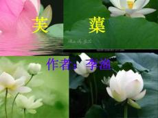 北师大版八年级下《李渔——芙蕖》【初中语文课件】