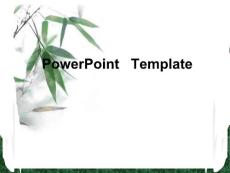 綠竹背景PPT模版