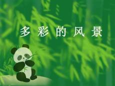 多彩的风景