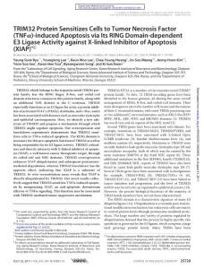 TRIM32 Protein Sensitizes Cells to Tumor Necrosis Factor (TNFa)-induced Apoptosis via Its RING Domain-dependent E3 Ligase Activity against X-linked Inhibitor of Apoptosis (XIAP)*