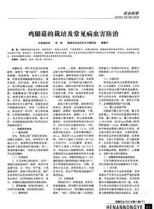 雞腿菇的栽培及常見病蟲害防治