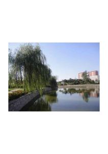 天津科技大学校园风景069