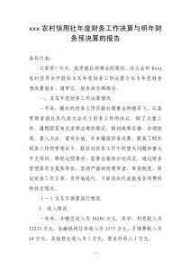 农村信用社年度财务工作决算与明年财务预决算的报告