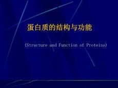 蛋白質的結構與功能課件