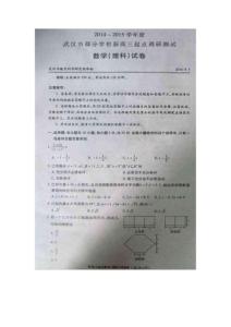湖北省武漢市部分學校2015屆高三起點調研測試數學（理）試題